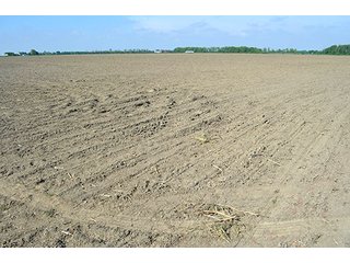 Property photo 41 - LAND AUCTION - 215+/- ACRES OFFERED IN 6 TRACTS IN VAN WERT COUNTY, OHIO